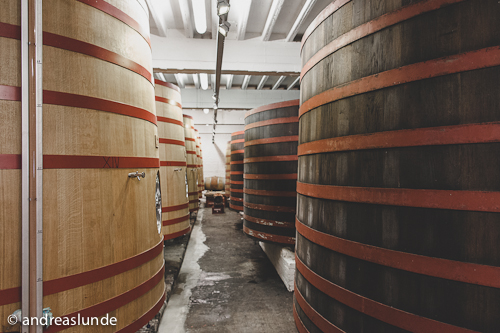 Wood Barrels aging beer at Bockor